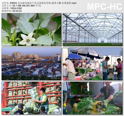 一折农产品素材_北京新发地农产品交易批发市场 蔬菜大棚 水果蔬菜